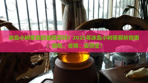 冰岛小树茶特点
