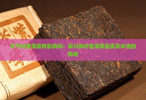 天气对普洱茶有影响吗：探讨其对普洱茶品质及冲泡的影响