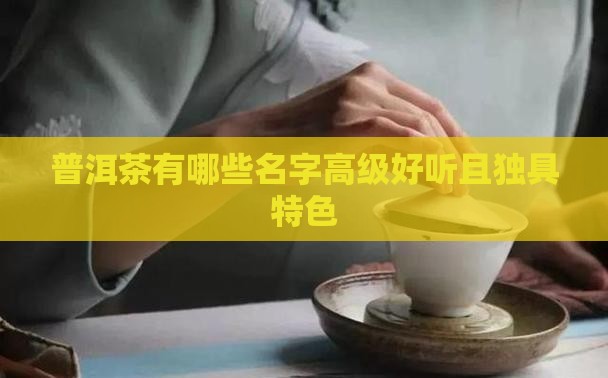 普洱茶有哪些名字高级好听且独具特色