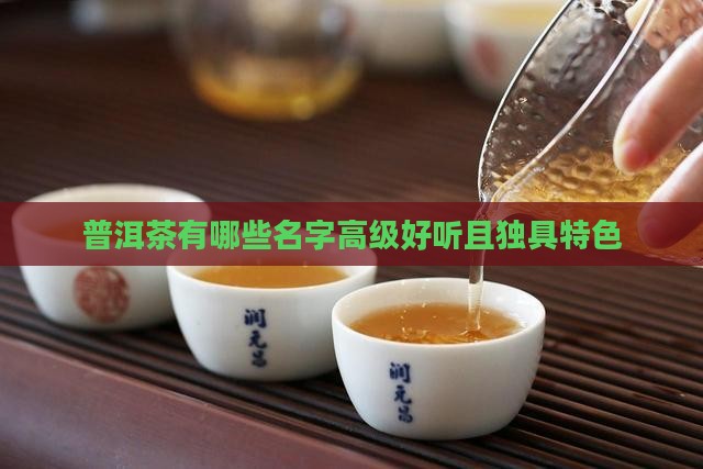 普洱茶有哪些名字高级好听且独具特色