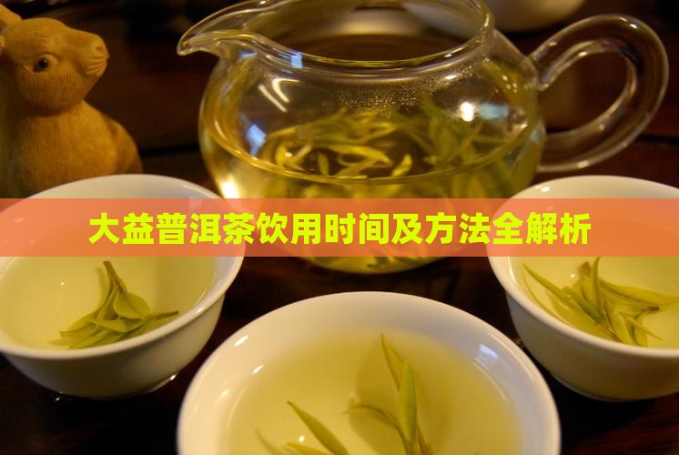 大益普洱茶饮用时间及方法全解析