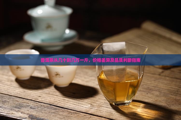 普洱茶从几十到几万一斤，价格差异及品质判断指南
