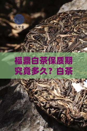 福鼎白茶保质期究竟多久？白茶的保质时长