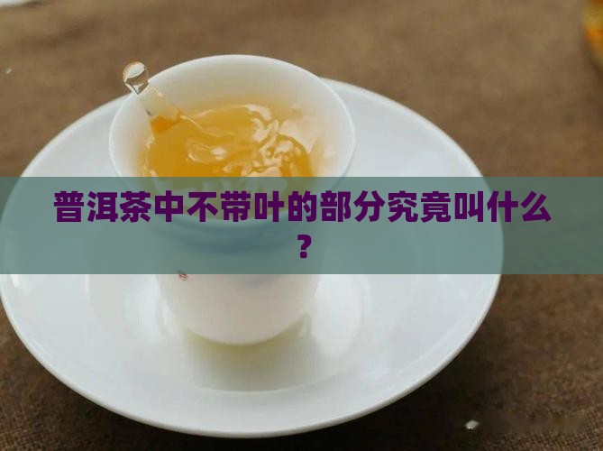 普洱茶中不带叶的部分究竟叫什么？