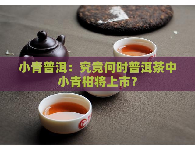 小青普洱：究竟何时普洱茶中小青柑将上市？