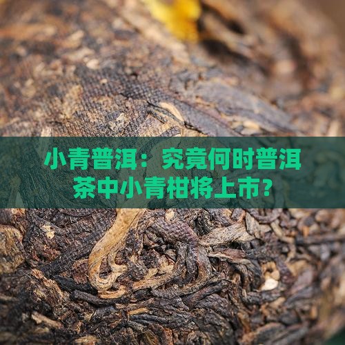 小青普洱：究竟何时普洱茶中小青柑将上市？
