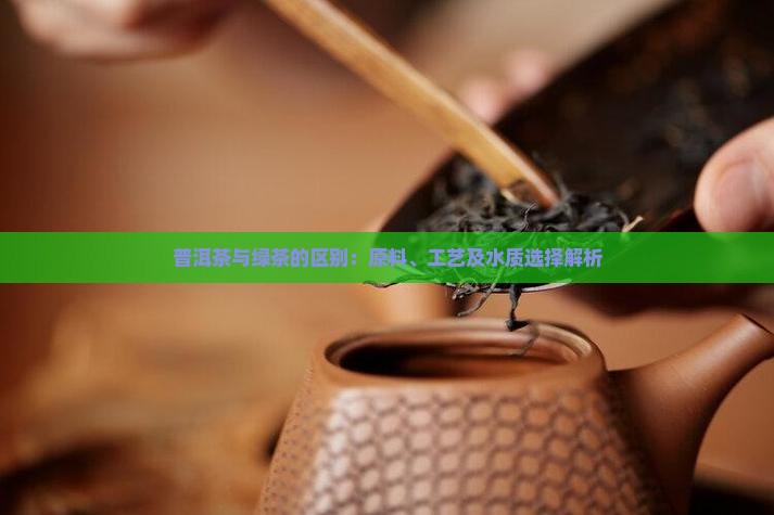 普洱茶与绿茶的区别：原料、工艺及水质选择解析