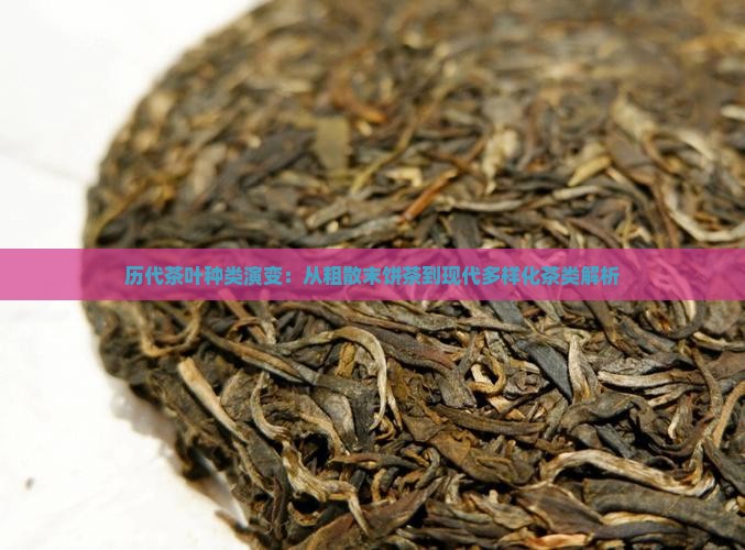 历代茶叶种类演变：从粗散末饼茶到现代多样化茶类解析