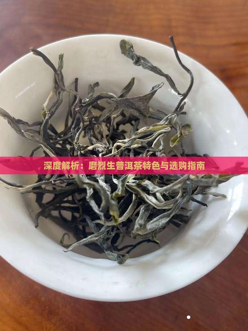 深度解析：磨烈生普洱茶特色与选购指南