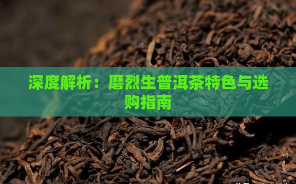 深度解析：磨烈生普洱茶特色与选购指南