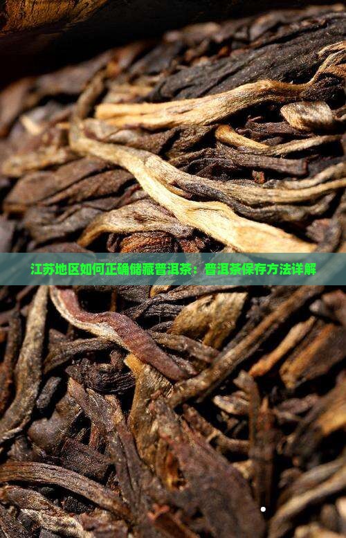 江苏地区如何正确储藏普洱茶：普洱茶保存方法详解