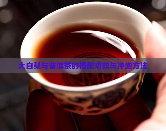 大白梨与普洱茶的搭配功效与冲泡方法