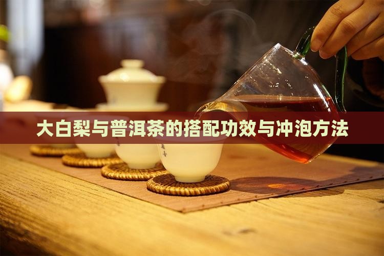 大白梨与普洱茶的搭配功效与冲泡方法