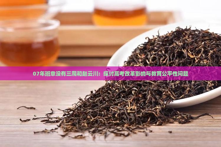 07年班章没有三爬和赵云川：探讨高考改革影响与教育公平性问题