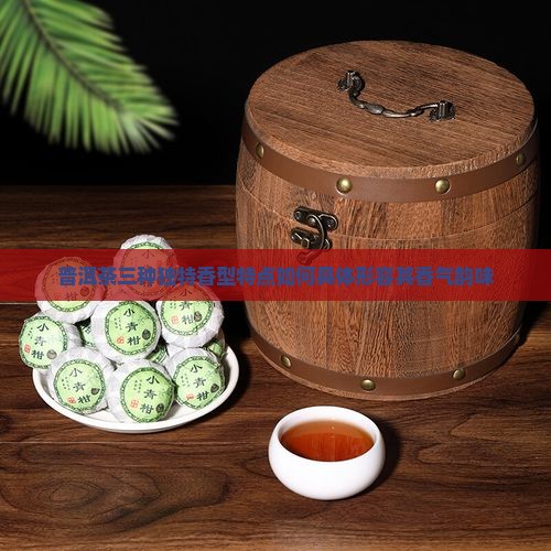 普洱茶三种独特香型特点如何具体形容其香气韵味