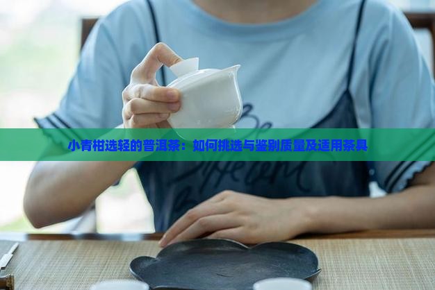小青柑选轻的普洱茶：如何挑选与鉴别质量及适用茶具