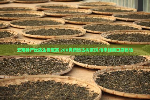 云南特产优质生普洱茶 200克精选古树茶饼 传承经典口感体验