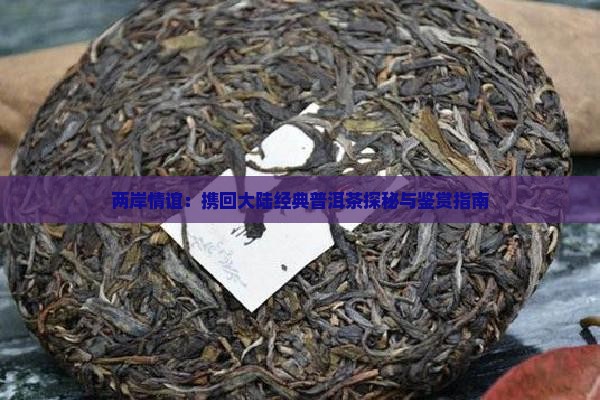 两岸情谊：携回大陆经典普洱茶探秘与鉴赏指南