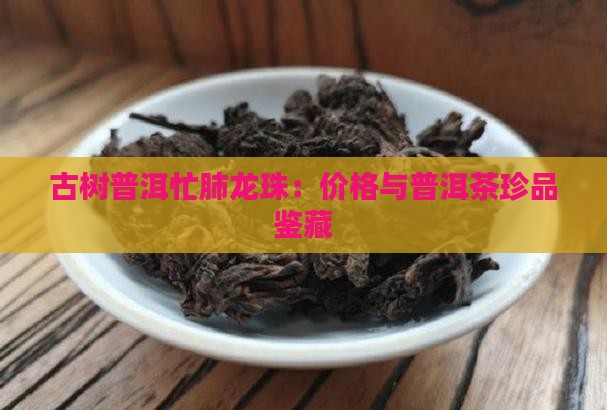 古树普洱忙肺龙珠：价格与普洱茶珍品鉴藏