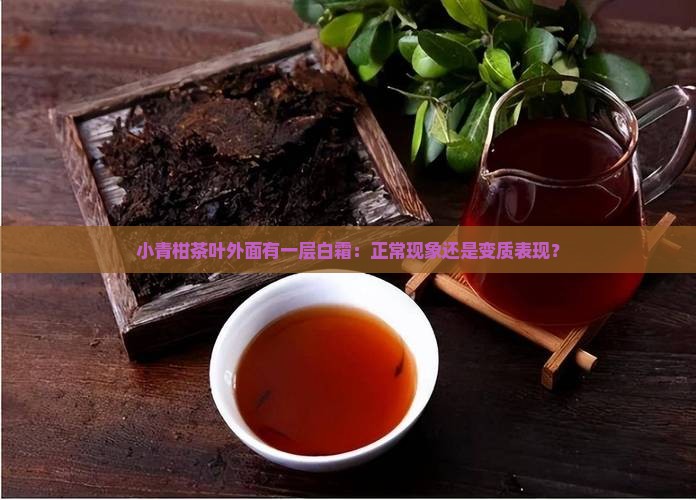 小青柑茶叶外面有一层白霜：正常现象还是变质表现？