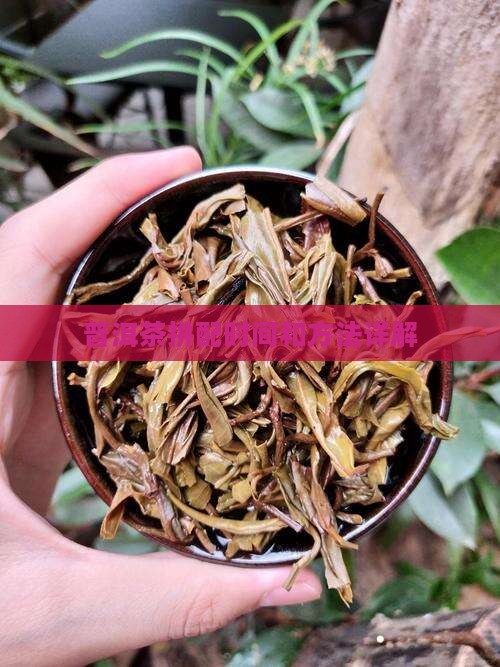普洱茶拼配时间和方法详解