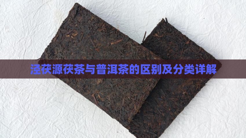 泾茯源茯茶与普洱茶的区别及分类详解