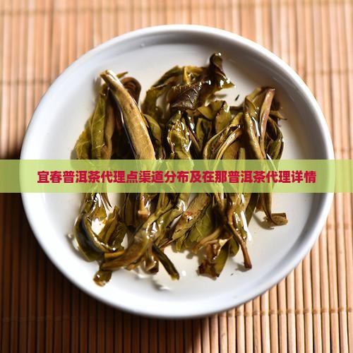 宜春普洱茶代理点渠道分布及在那普洱茶代理详情