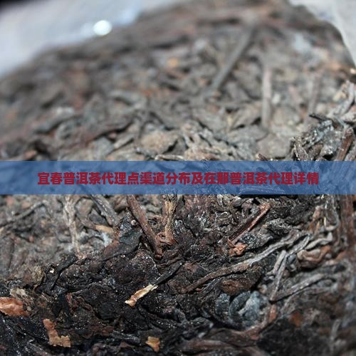 宜春普洱茶代理点渠道分布及在那普洱茶代理详情
