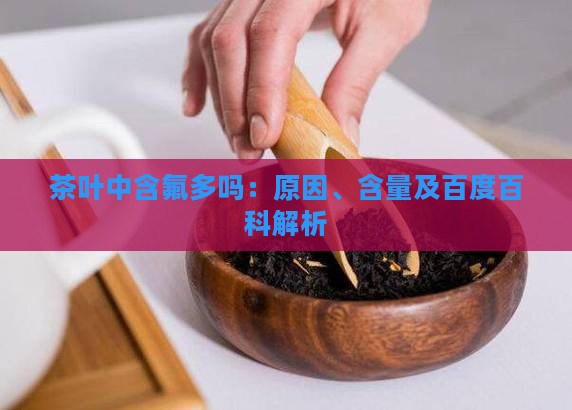 茶叶中含氟多吗:原因、含量及百度百科解析 茶叶中含氟多吗:原因、含量及百度百科解析