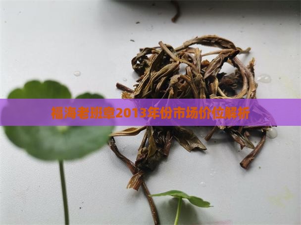 福海老班章2013年份市场价位解析