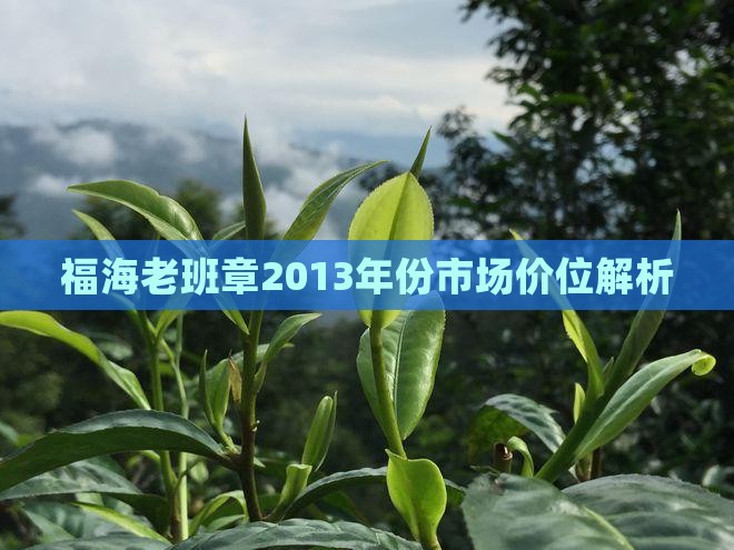 福海老班章2013年份市场价位解析