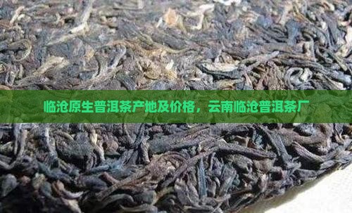 临沧原生普洱茶产地及价格，云南临沧普洱茶厂