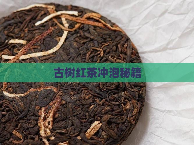 古树红茶冲泡秘籍
