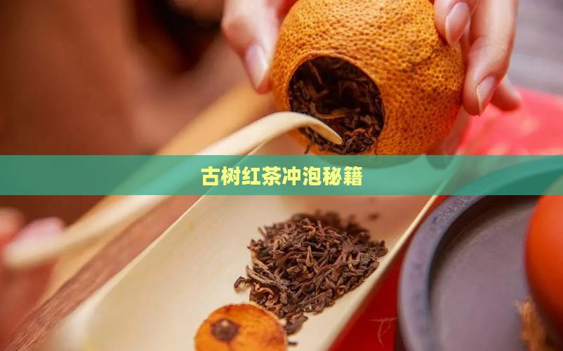 古树红茶冲泡秘籍
