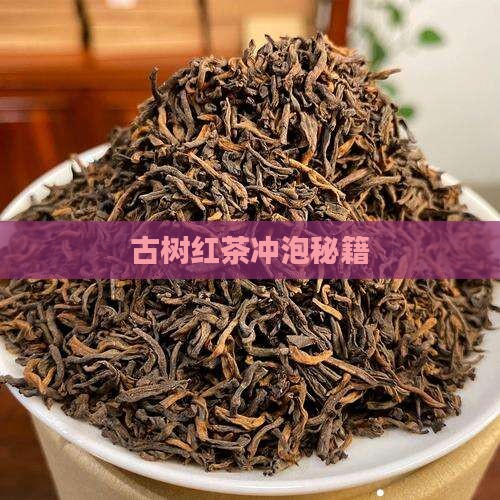 古树红茶冲泡秘籍