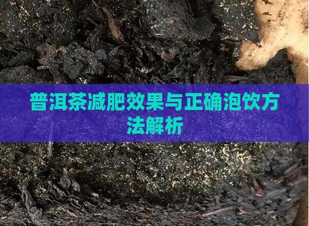 普洱茶减肥效果与正确泡饮方法解析