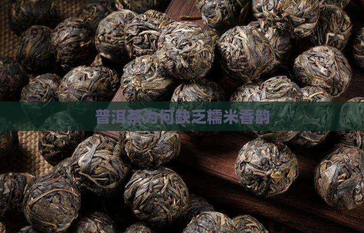 普洱茶为何缺乏糯米香韵