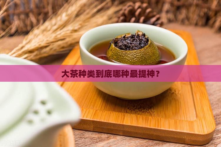 大茶种类到底哪种最提神？