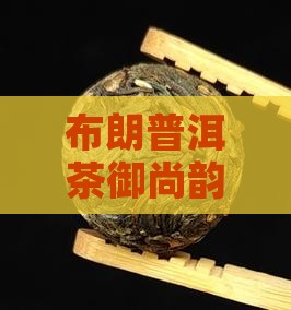 布朗普洱茶御尚韵：品味经典，收藏佳品