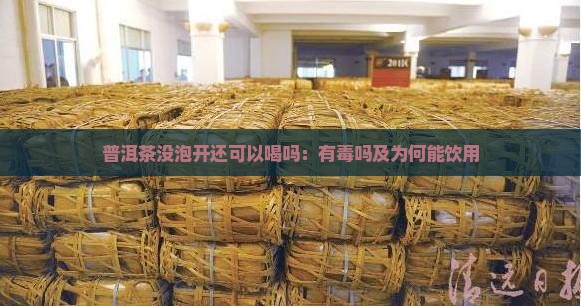 普洱茶没泡开还可以喝吗：有毒吗及为何能饮用