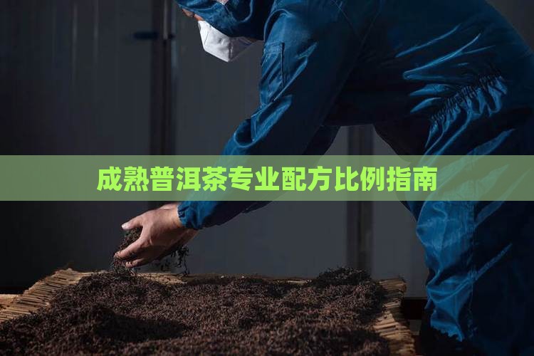 成熟普洱茶专业配方比例指南