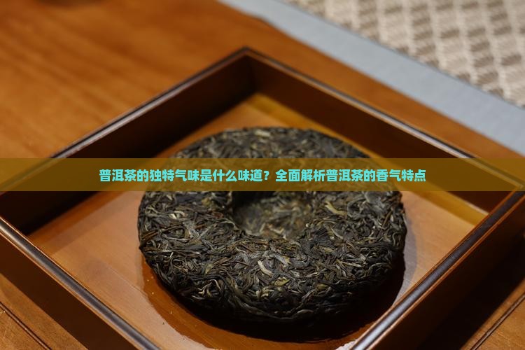 普洱茶的独特气味是什么味道？全面解析普洱茶的香气特点