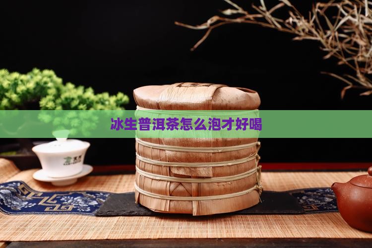 冰生普洱茶怎么泡才好喝