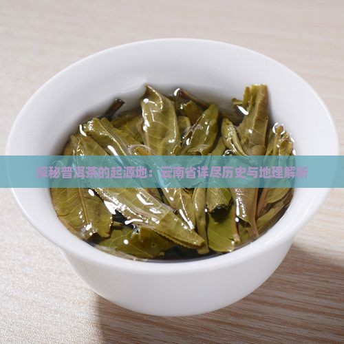 探秘普洱茶的起源地：云南省详尽历史与地理解析