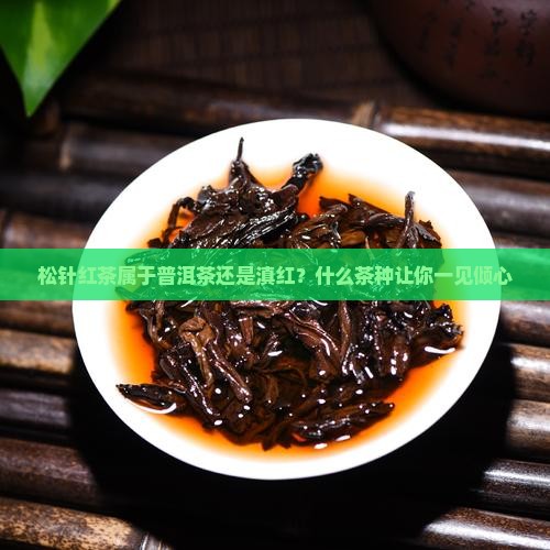 松针红茶属于普洱茶还是滇红？什么茶种让你一见倾心