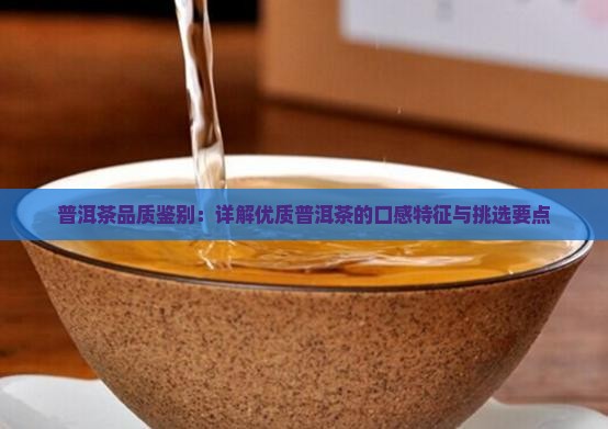普洱茶品质鉴别：详解优质普洱茶的口感特征与挑选要点
