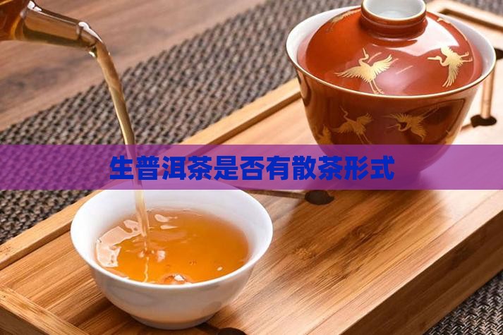 生普洱茶是否有散茶形式