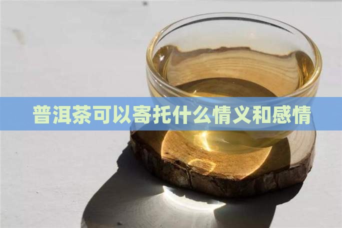 普洱茶可以寄托什么情义和感情