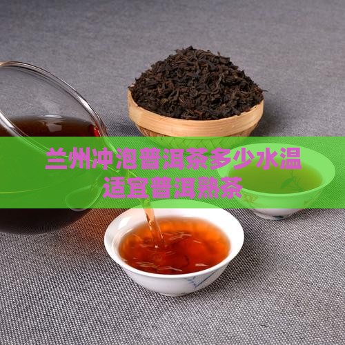 兰州冲泡普洱茶多少水温适宜普洱熟茶