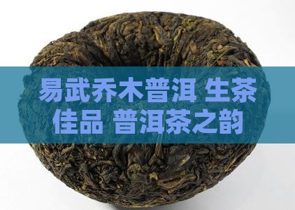 易武乔木普洱 生茶佳品 普洱茶之韵